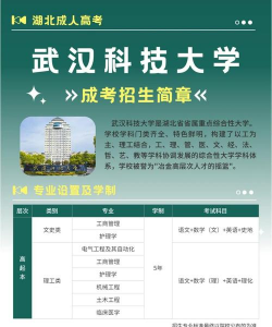 2026武汉科技大学中意合作办学4+0公共艺术专业介绍