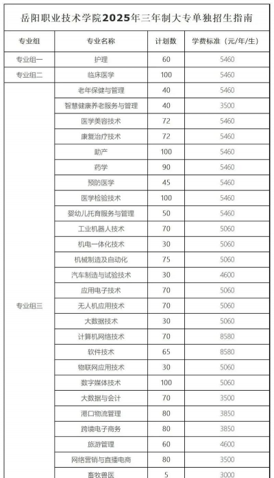 岳阳职业技术学院2023单招录取分数线最低多少分