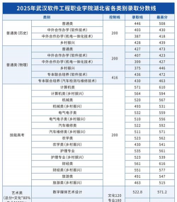 2024吉林考生多少分能上武汉软件工程职业学院