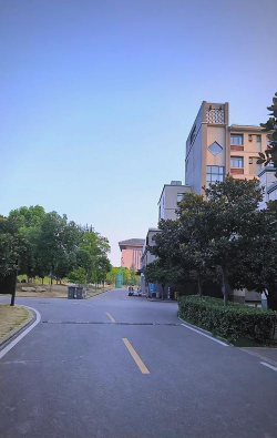 武汉学院