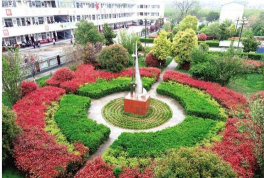 周口市第五初级中学