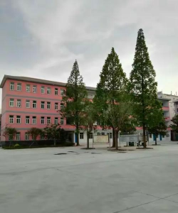 扶沟县城关镇第二初级中学