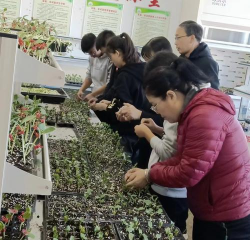 平定县南坳职业高级中学校