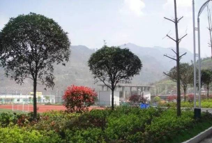 绥江县职业高级中学