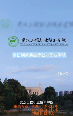 武汉工程职业技术学院