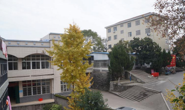 武穴梅川高级中学