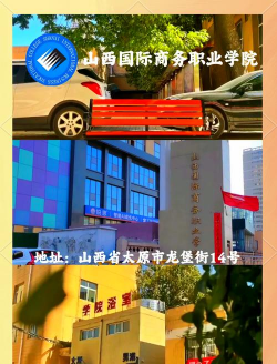山西国际商务职业学院