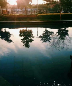 慈济大学附属高级中学