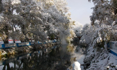 扎兰屯林业学校