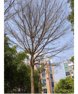 梧州职业学院