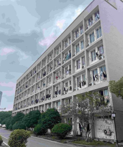 上海南湖职业技术学院