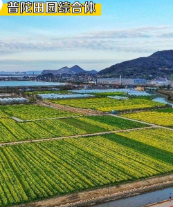 舟山市教育教学研究中心