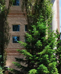 黑龙江大学