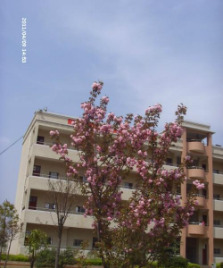 宣威市第三中学