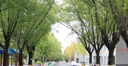 黑龙江省水利水电学校