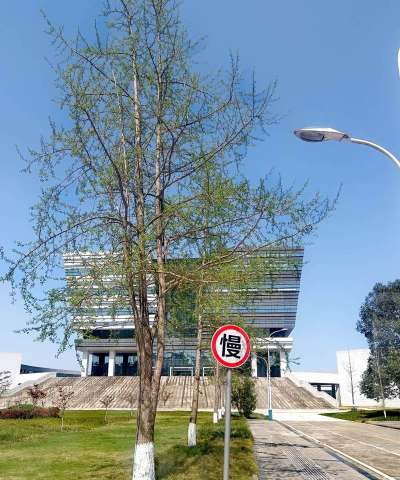四川建筑职业技术学院