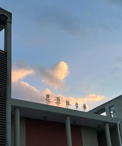 新诺丁汉学院
