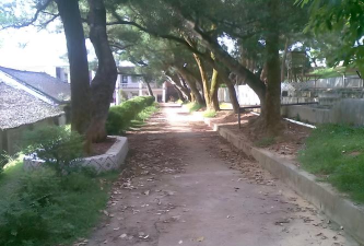 灵山县旧州中学