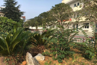 龙游县詹家中学