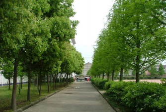 路桥区峰江街道中学