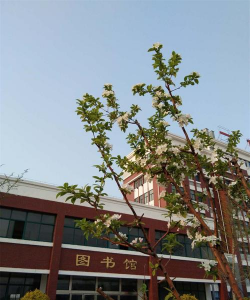 江苏省宿城中等专业学校