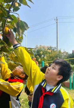 蚌埠市龙湖中学