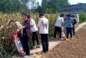 阜阳市颍东区老庙中心学校