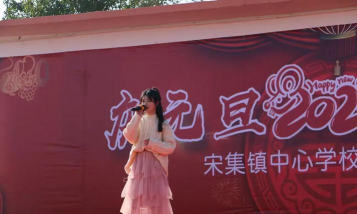 临泉县宋集镇第二中学