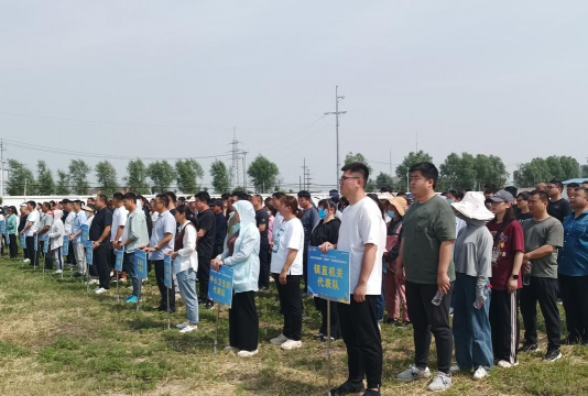 临泉县姜寨镇杨寨普通初级中学