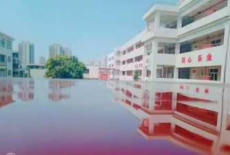 景新中学