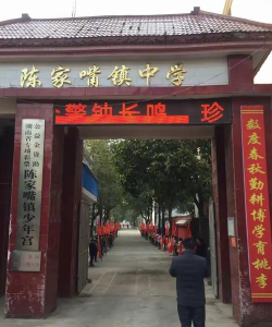 安乡县陈家嘴镇中学