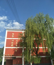 草坪中学