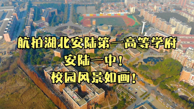 安陆高中