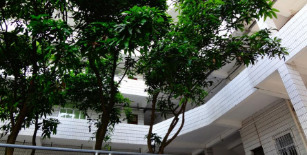 化州市实验中学