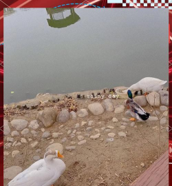 信阳师范学院