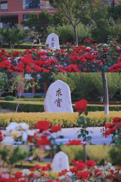山西大学师范学院