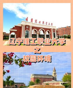 辽宁理工职业大学