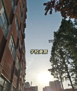 河南工业贸易职业学院