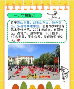 嵩山少林武术职业学院