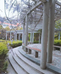 慈济大学附属高级中学