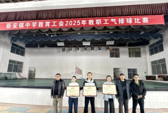 临澧县新安镇中学