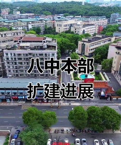 八中