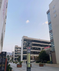 石屏民中