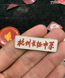 长征中学