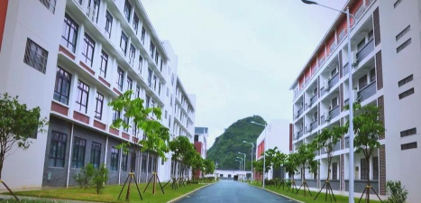 马山县林圩镇第三初级中学