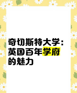 奇切斯特学院
