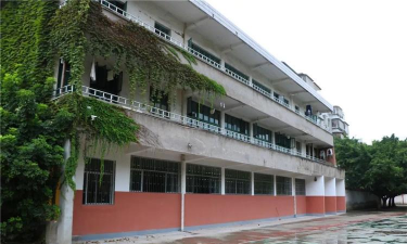 威远自强中学校