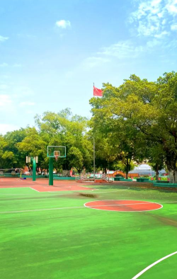 平南县六陈高中