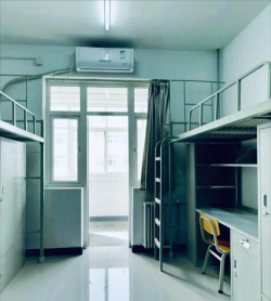 西北大学