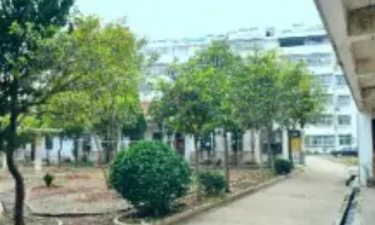 江都市武坚中学